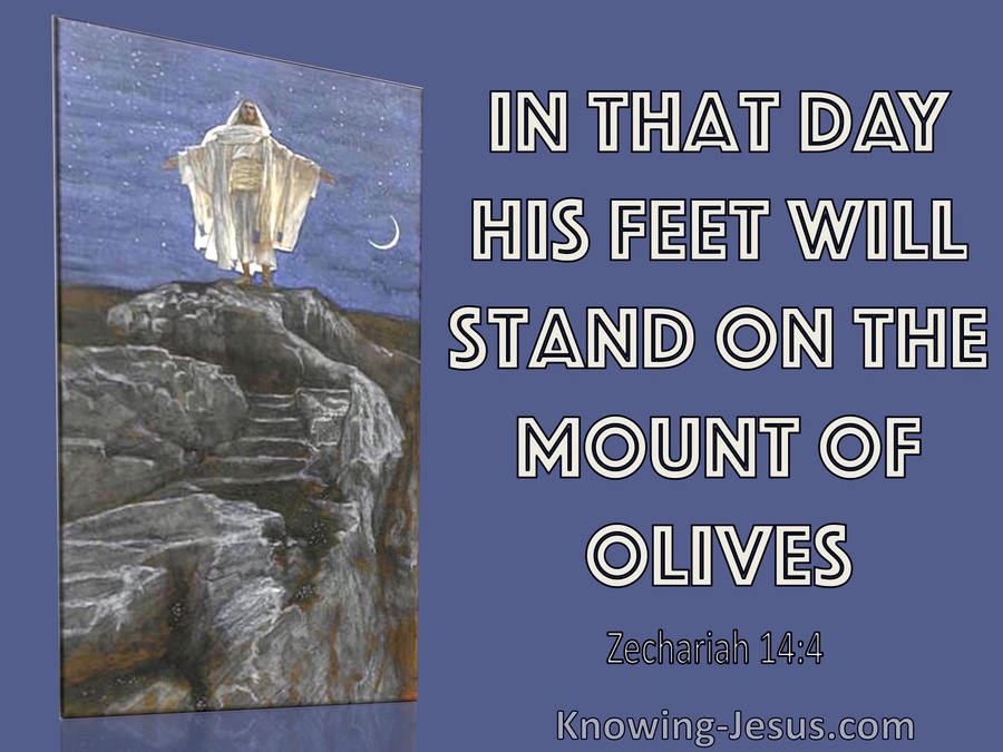 Zechariah 14:4 His Feet Will Stand On The Mount Of Olives (blue)